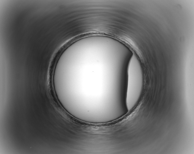 X0000088720780200705311056