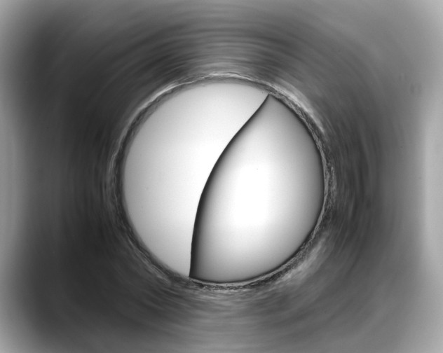 X0000088720782200705311056