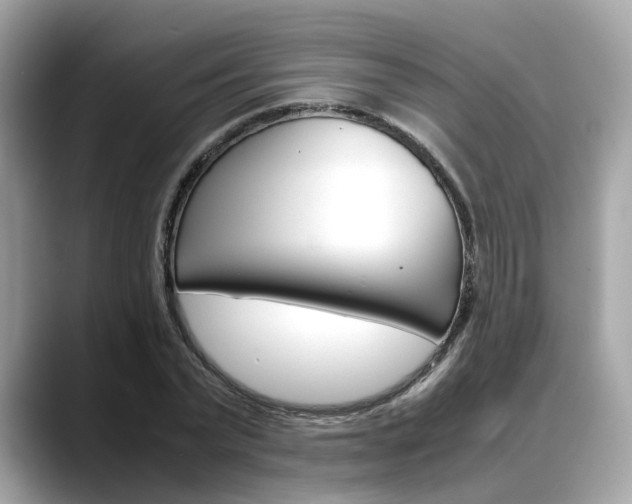 X0000088720783200705311056