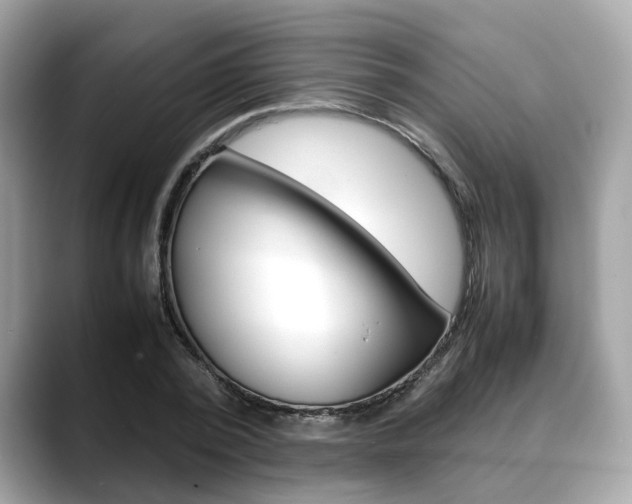 X0000088720784200705311056