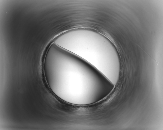 X0000088720787200705311056
