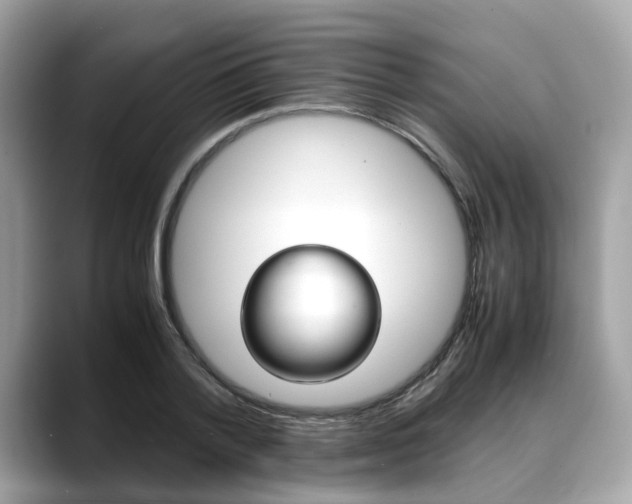 X0000088720788200705311056