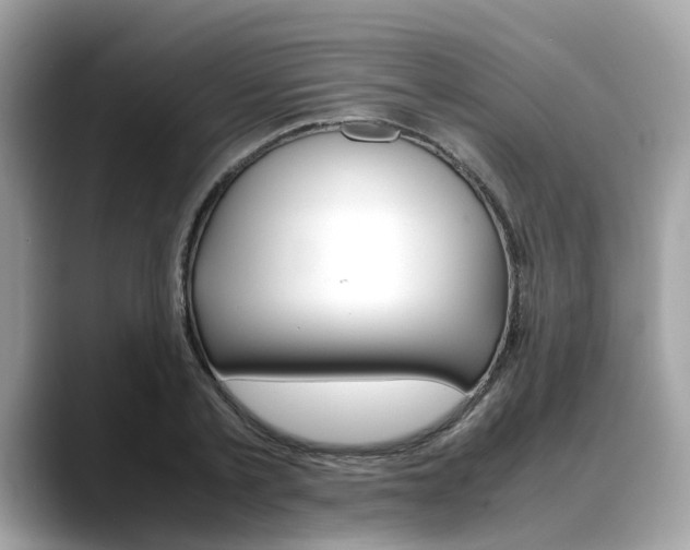 X0000088720789200705311056
