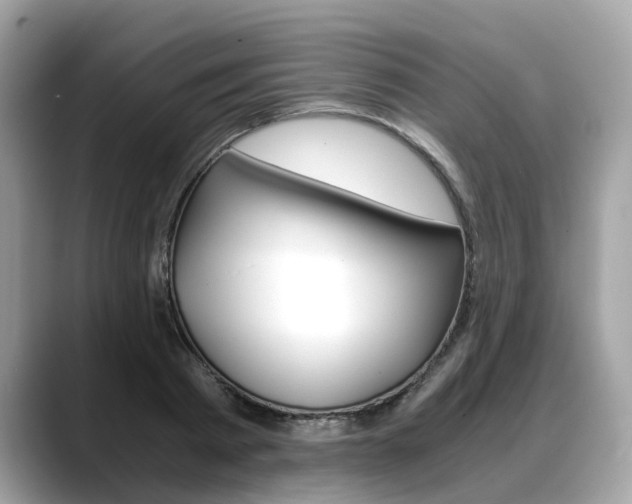 X0000088720793200705311056