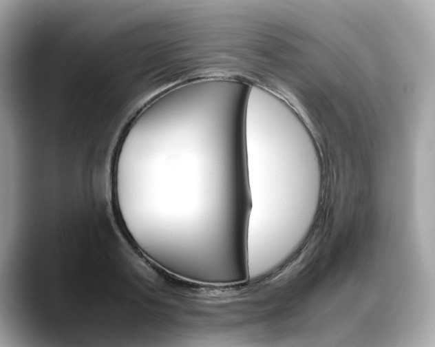 X0000088720795200705311056