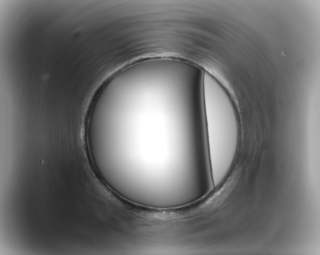 X0000088720797200705311056