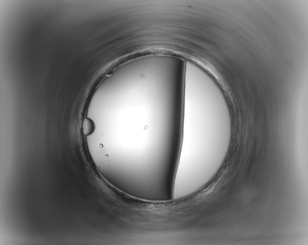 X0000088720799200705311056