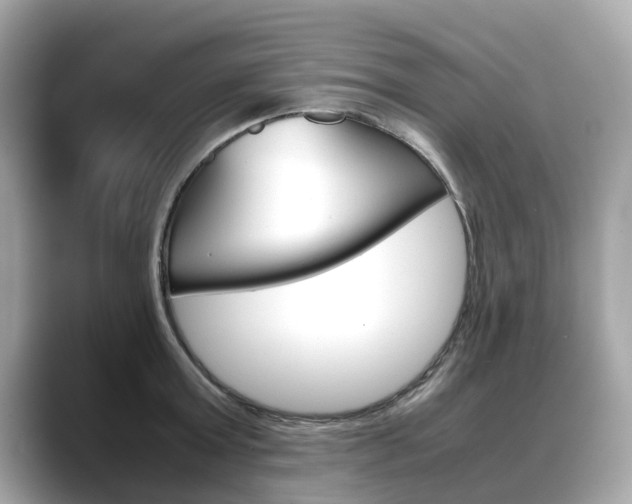 X0000088720803200705311056