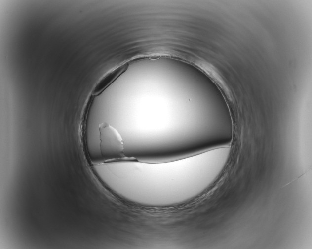 X0000088720805200705311056