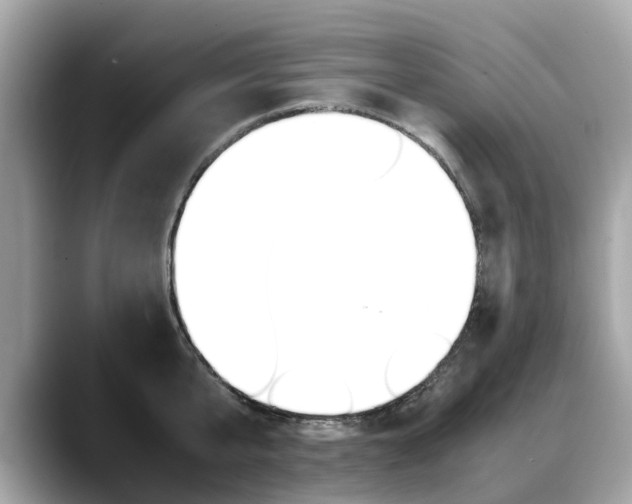 X0000088720807200705311056