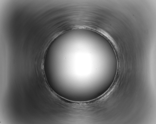 X0000088720809200705311056