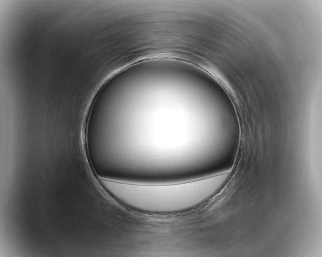 X0000088720813200705311056