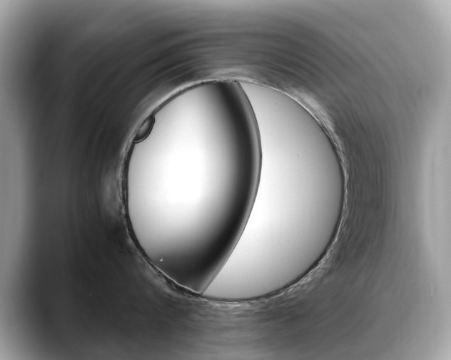 X0000088720816200705311056