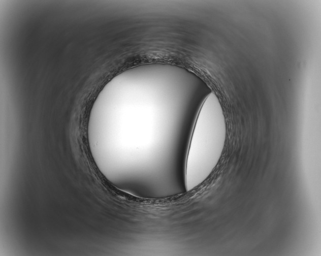 X0000088720817200705311055