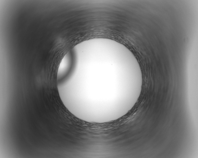 X0000088720818200705311055