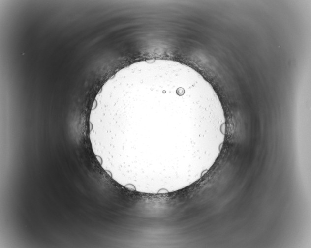X0000088720820200705311055