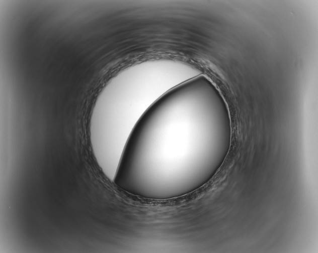 X0000088720821200705311055