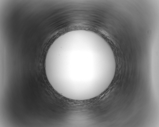 X0000088720822200705311055
