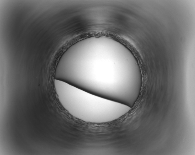 X0000088720823200705311055