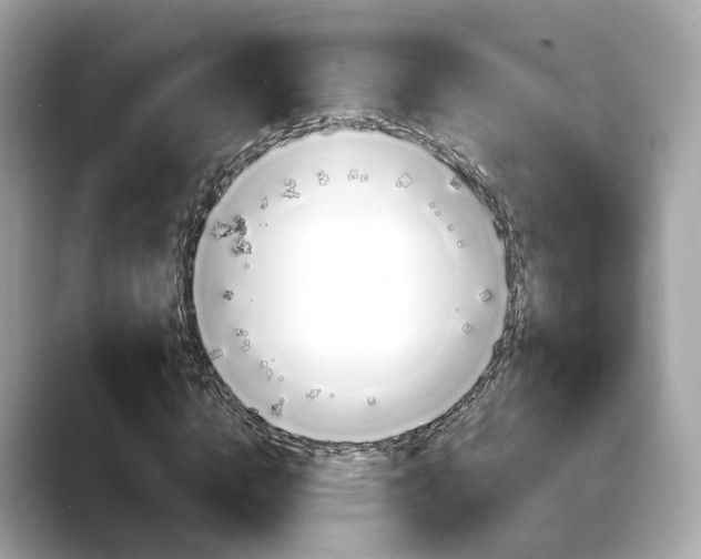 X0000088720824200705311055