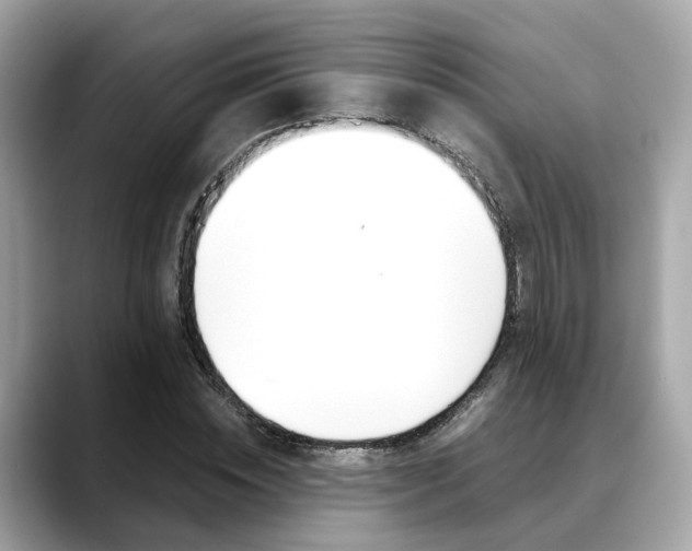 X0000088720828200705311055