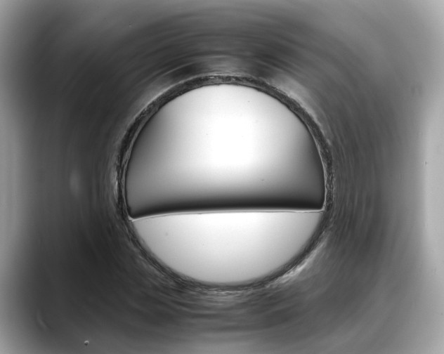 X0000088720829200705311055