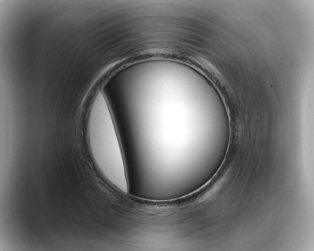 X0000088720830200705311055