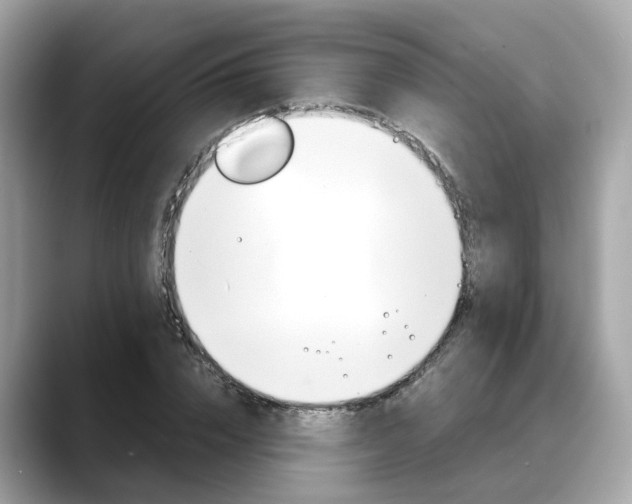 X0000088720832200705311055