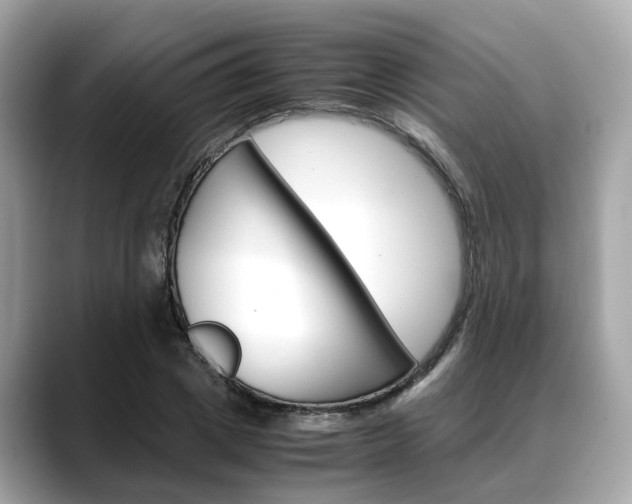 X0000088720833200705311055