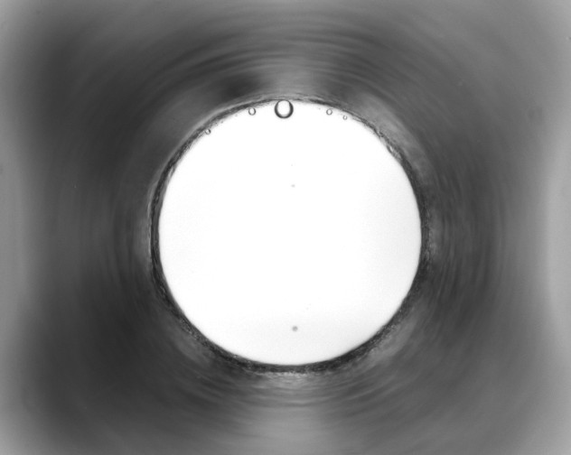 X0000088720836200705311055