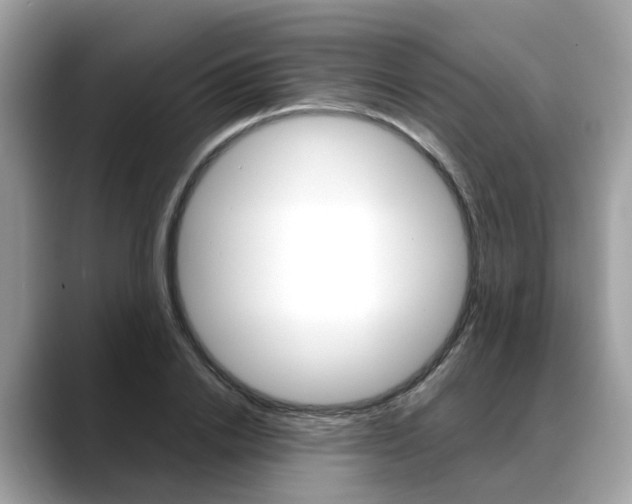 X0000088720838200705311055