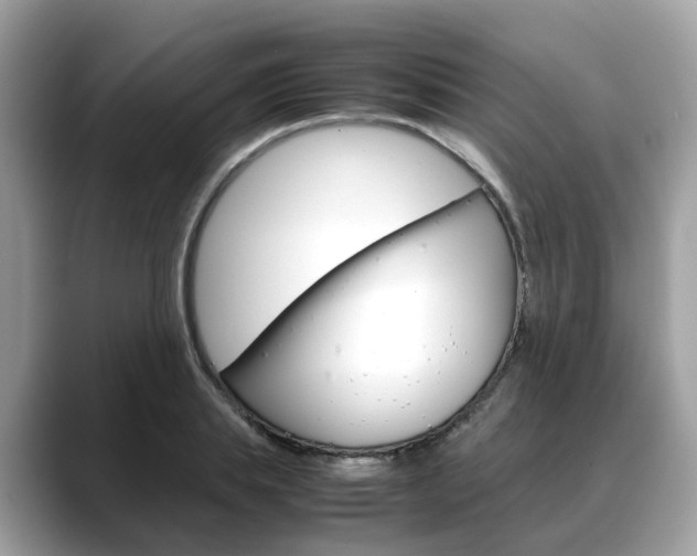 X0000088720839200705311055