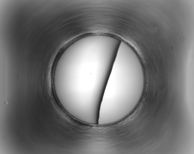 X0000088720840200705311055