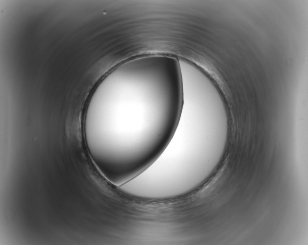 X0000088720842200705311055