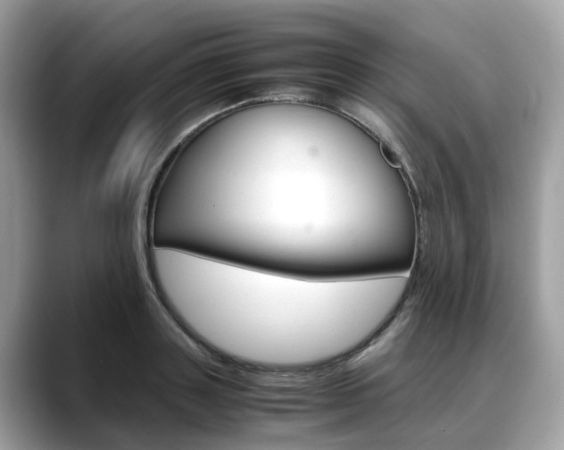 X0000088720843200705311055