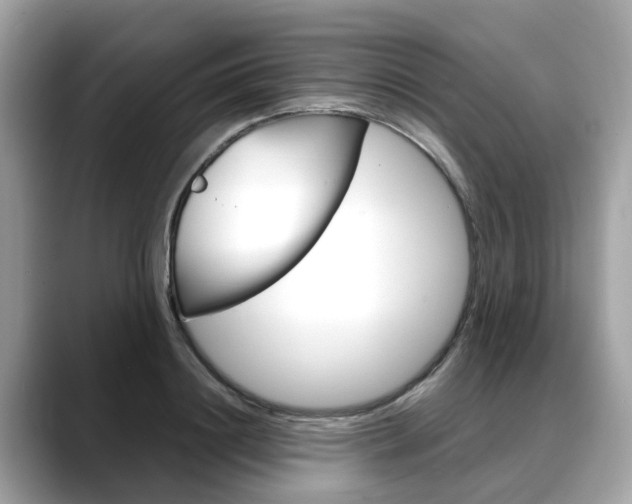 X0000088720844200705311055