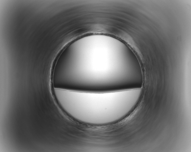 X0000088720845200705311055