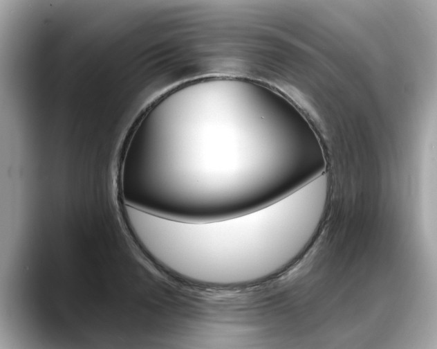 X0000088720846200705311055