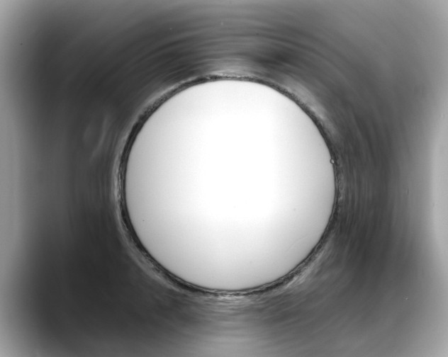 X0000088720848200705311055
