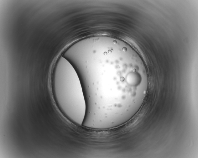 X0000088720851200705311055