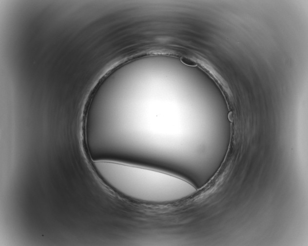 X0000088720853200705311055