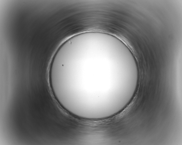 X0000088720854200705311055