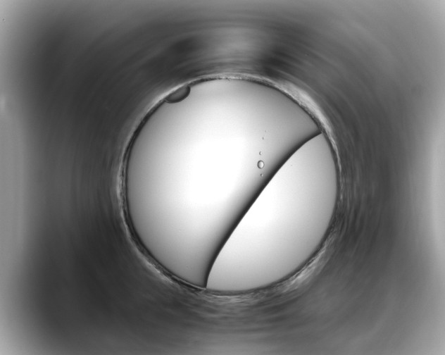 X0000088720855200705311055