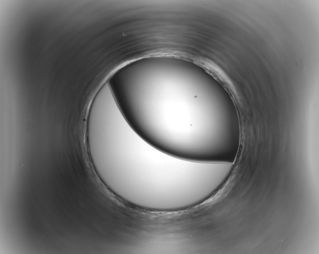 X0000088720860200705311056