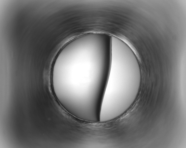 X0000088720861200705311056