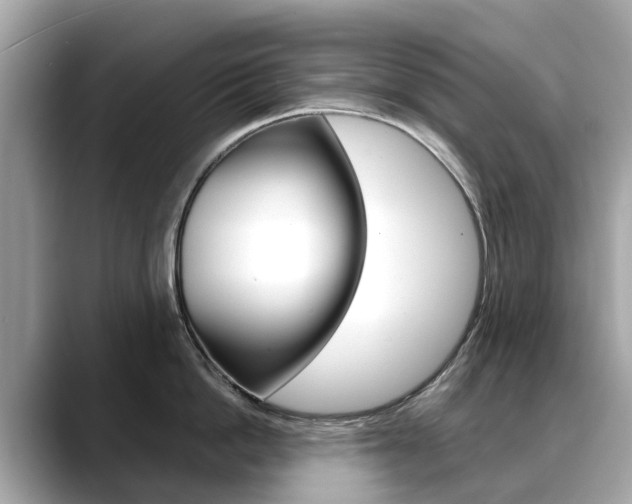 X0000088720862200705311056