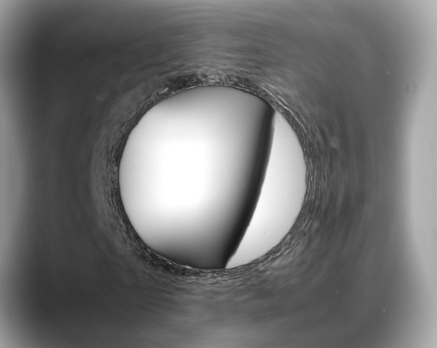 X0000088720865200705311055
