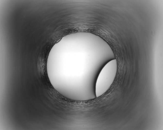 X0000088720866200705311055