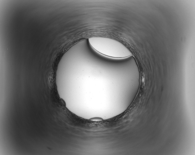 X0000088720867200705311055