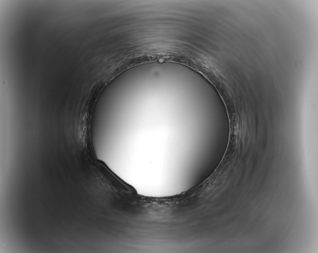 X0000088720868200705311055